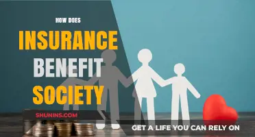 Insurance's Role: Protecting Communities, Ensuring Stability, and Promoting Social Welfare