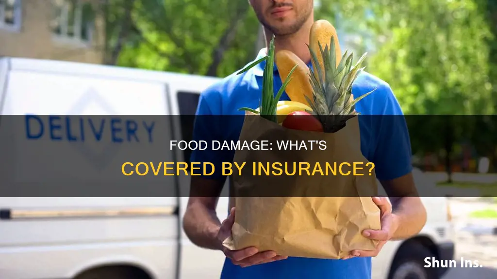 how does insurance consider food damage