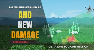 Insurance Claims: Distinguishing Old vs. New Damage Explained