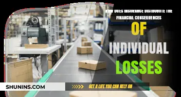 How Insurance Spreads Financial Risk Across Individual Losses