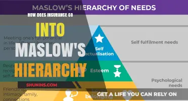 Insurance: Fulfilling Maslow's Hierarchy of Needs