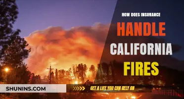 California Wildfires: How Insurance Companies Respond and Cover Losses