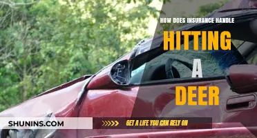 Deer Collision Coverage: Understanding Insurance Claims After Hitting Wildlife