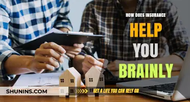 How Insurance Provides Financial Security and Peace of Mind: Brainly Explained