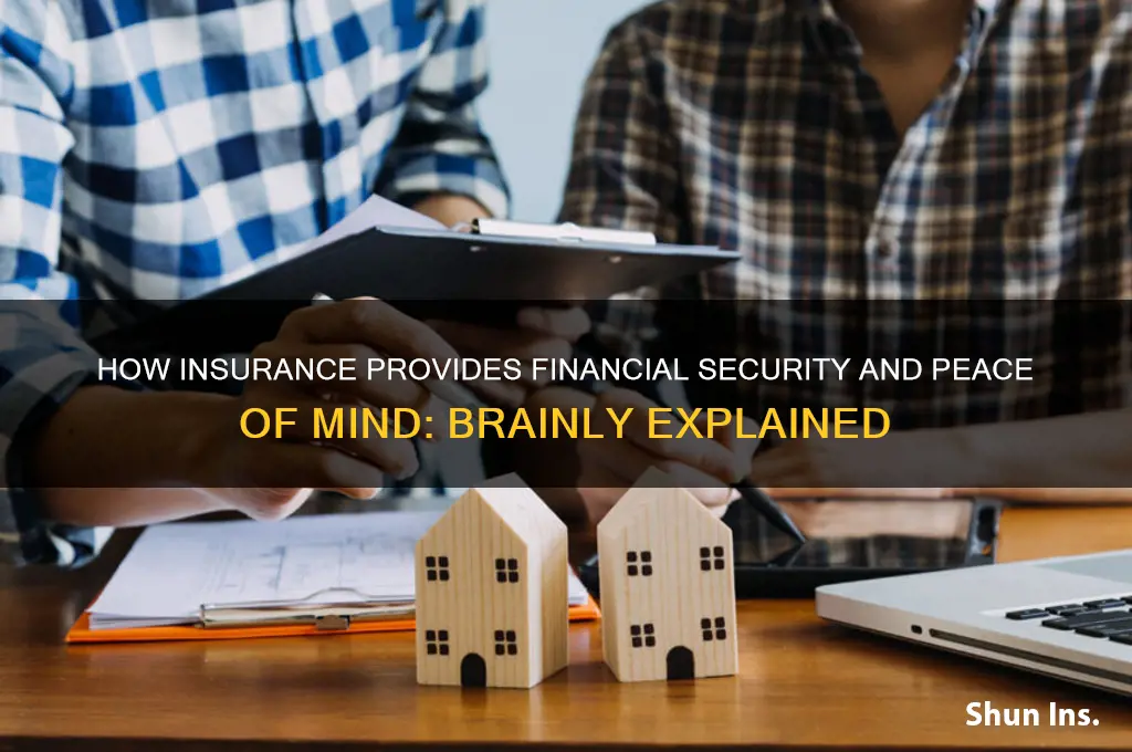 how does insurance help you brainly
