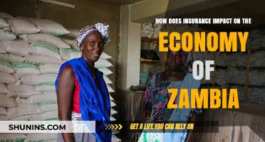 Insurance's Role in Shaping Zambia's Economic Growth and Stability