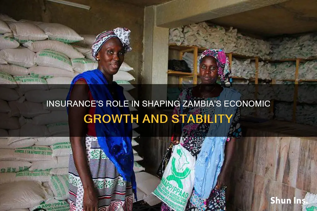 how does insurance impact on the economy of zambia