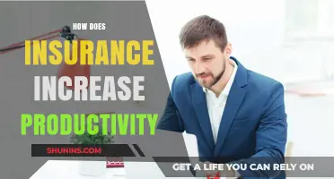 Boosting Productivity: The Surprising Role of Insurance in Business Success