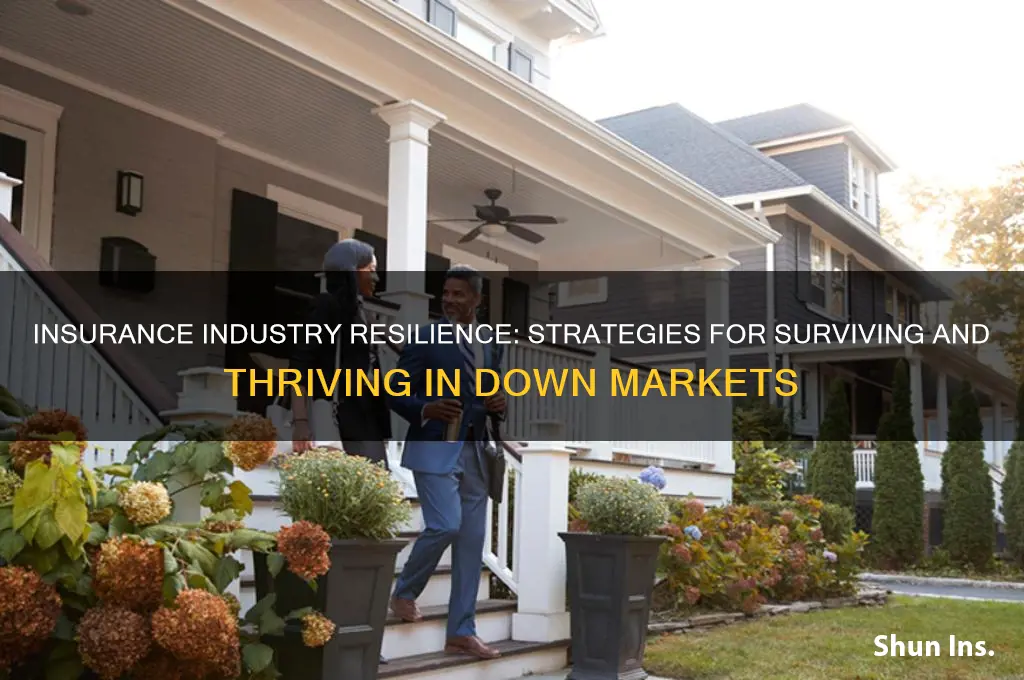 how does insurance industry do in down market