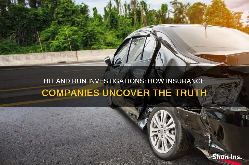 how does insurance investigate a hit and run