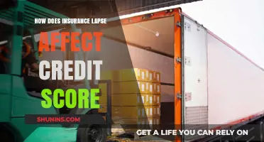 Insurance Lapses: Credit Score Impact and Consequences