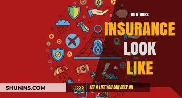 Understanding Insurance: A Comprehensive Guide to Coverage and Protection