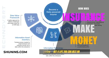 Insurance Companies: Making Money by Managing Risk