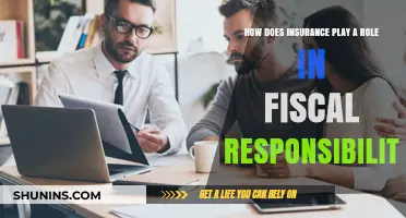 Insurance and Fiscal Responsibility: A Key to Financial Security