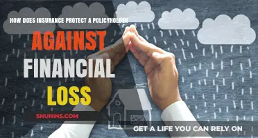 Understanding Insurance: Safeguarding Policyholders from Financial Loss and Risks