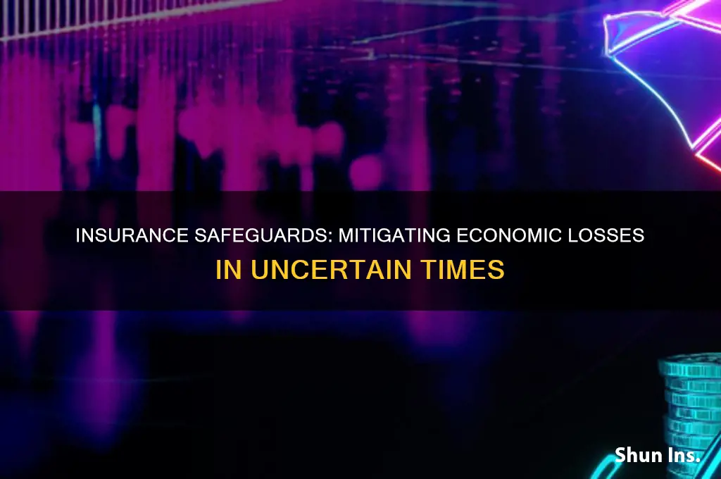 how does insurance protect against economic losses