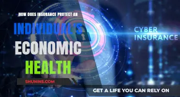 Insurance Safeguards Your Financial Future: Understanding Economic Health Protection