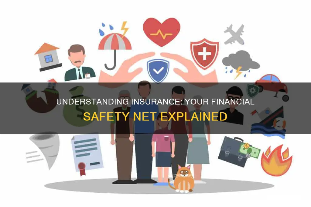 how does insurance protect me financially