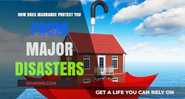 Insurance Safeguards: How Policies Shield You from Major Disasters