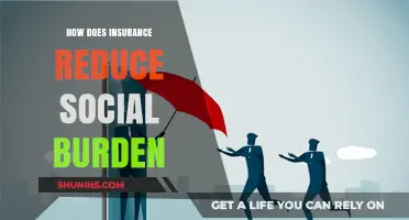 Insurance: A Key Tool to Alleviate Social and Economic Burdens