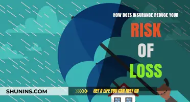 Insurance: Protecting Your Assets, Reducing Your Risk