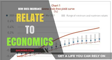Insurance and Economics: Understanding Risk Management's Role in Financial Systems