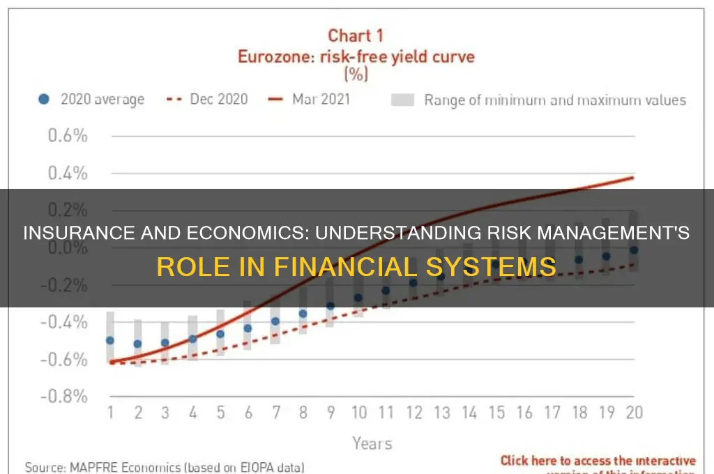 how does insurance relate to economics