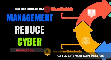 Managing Cyber Risks: The Role of Insurance Risk Management