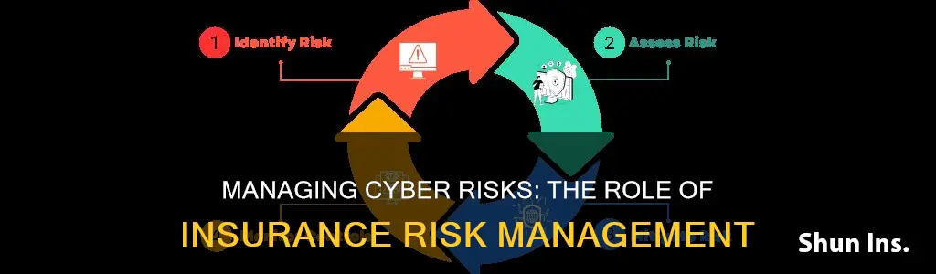 how does insurance risk management reduce cyber