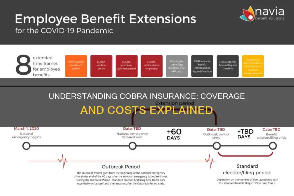 how does it work cobra medical insurance