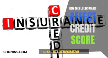 Life Insurance and Credit Score: What's the Connection?