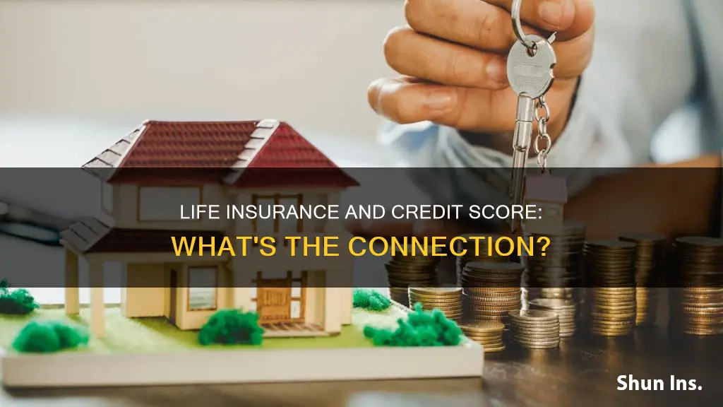 how does life insurance affect credit score