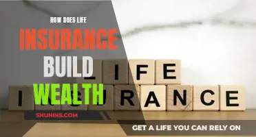 Life Insurance: Building Wealth and Security