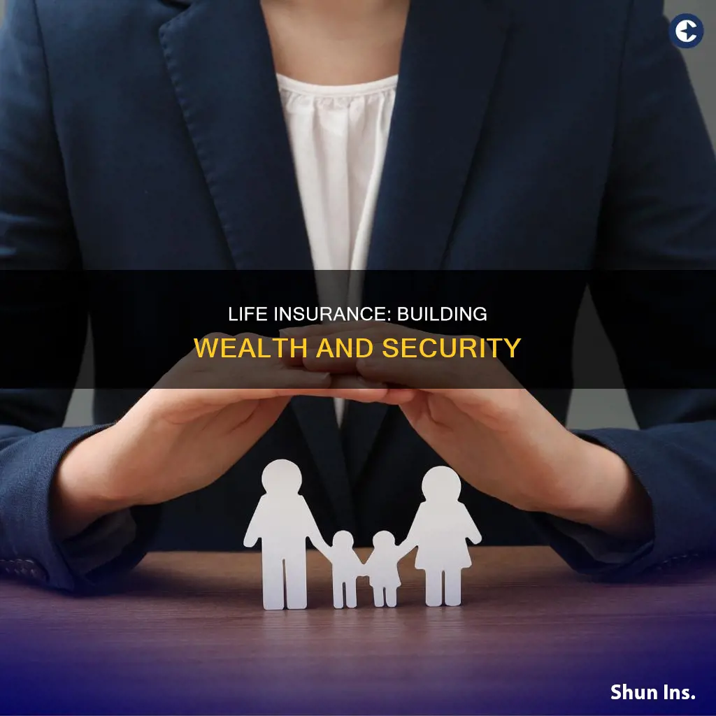 how does life insurance build wealth