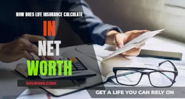 Incorporating Life Insurance in Your Net Worth Calculation