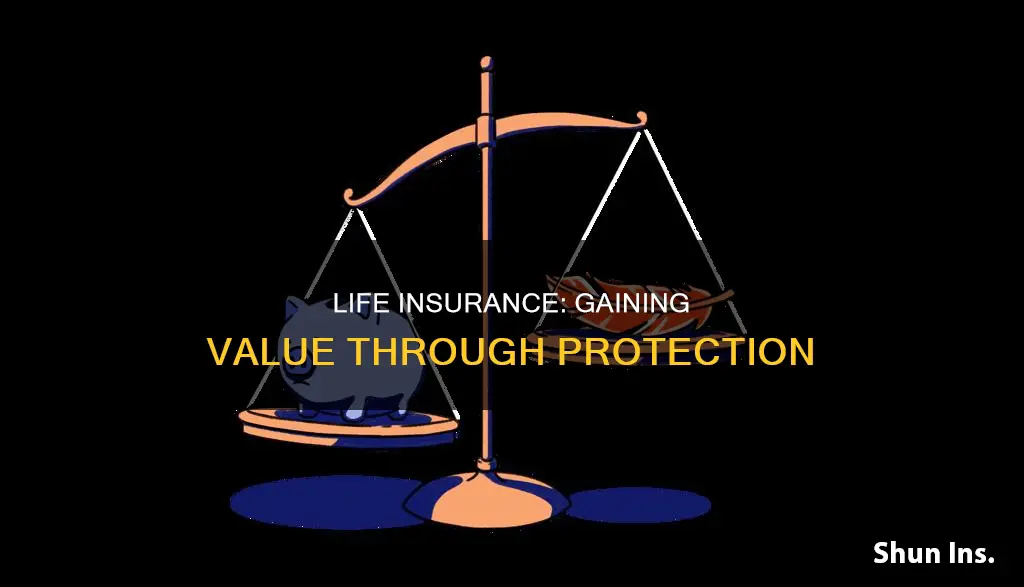 how does life insurance gain value