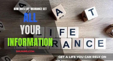 Life Insurance: How They Get Your Personal Information