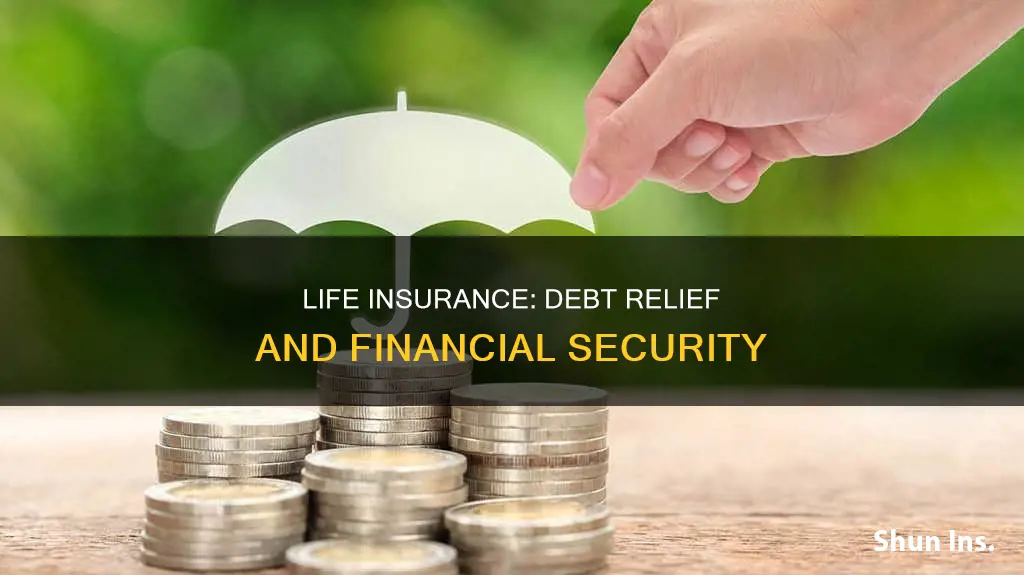 how does life insurance help with debt