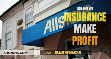 Life Insurance: Making Profit from Policy Premiums