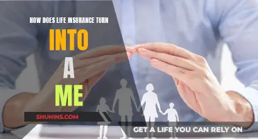 Life Insurance: A Personal Safety Net