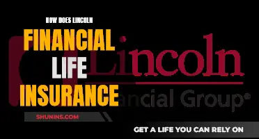 Lincoln Financial Life Insurance: What You Need to Know