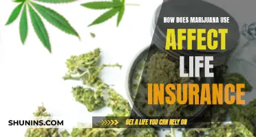 Marijuana Use and Life Insurance: What's the Impact?