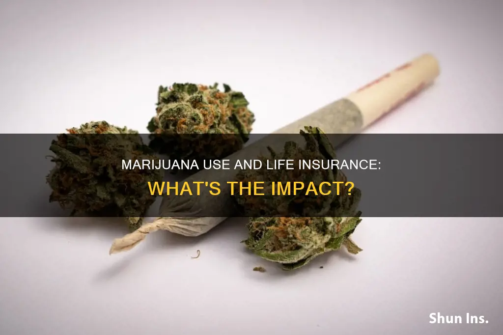 how does marijuana use affect life insurance