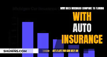 Auto Insurance Showdown: Michigan vs. Florida