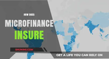 Microfinance Insurance: Securing Financial Stability for Low-Income Communities