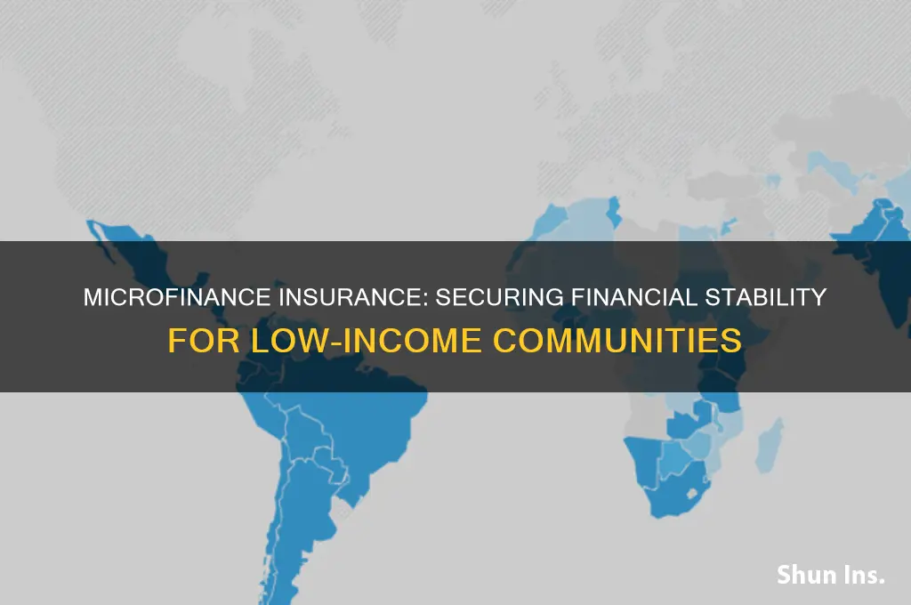 how does microfinance insure