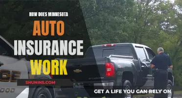 Minnesota Auto Insurance: Understanding the Basics