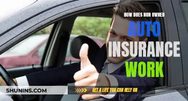 Understanding Non-Owned Auto Insurance: When It Kicks In and What It Covers