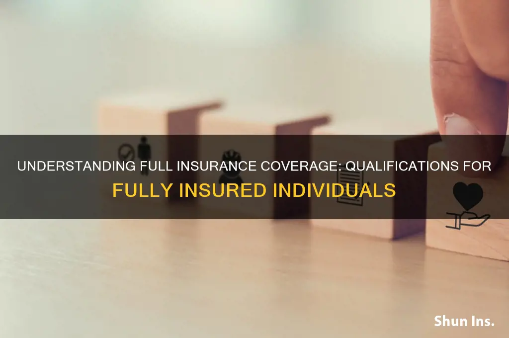 how does one qualify as a fully insured individual