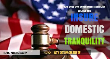 Establishing Justice and Ensuring Domestic Peace: The Government's Role
